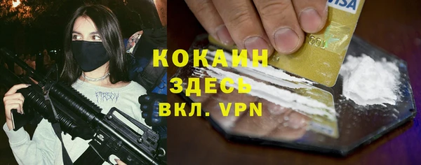 трава Бородино
