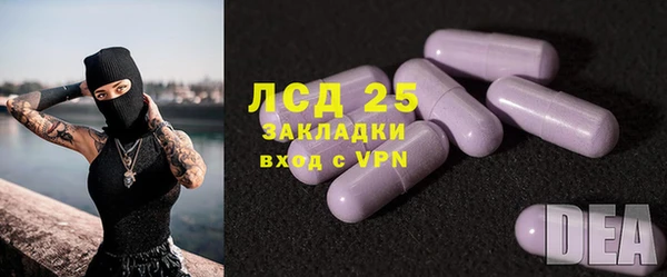 трава Бородино