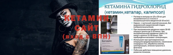 трава Бородино