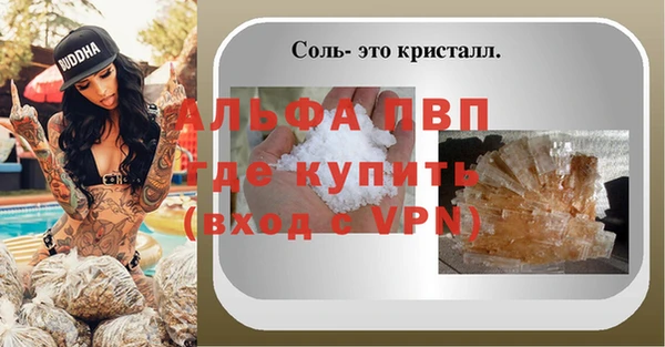 трава Бородино