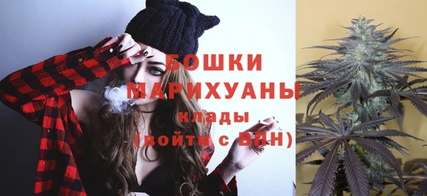 трава Бородино