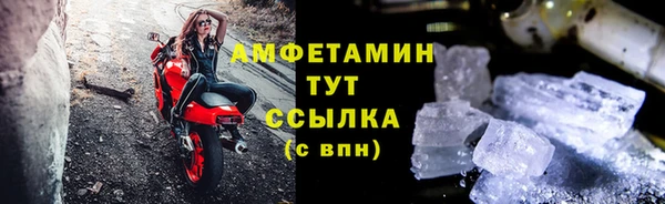 трава Бородино