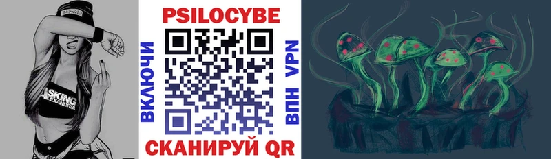 Купить закладки  Сухиничи  Галлюциногенные грибы мицелий 